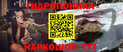 гашик Ставрополь