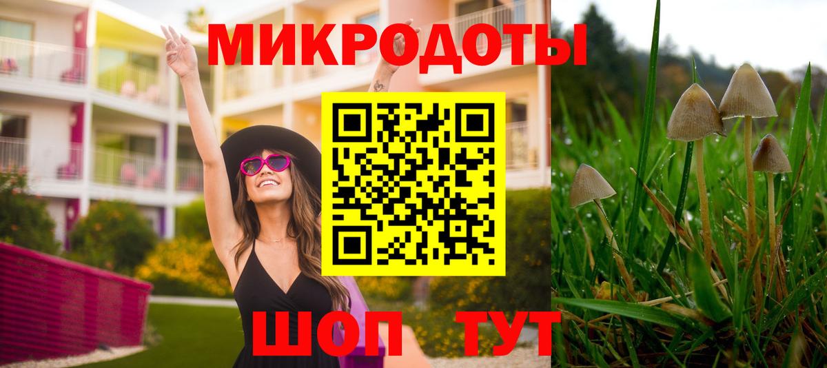 Псилоцибиновые грибы GOLDEN TEACHER Прокопьевск