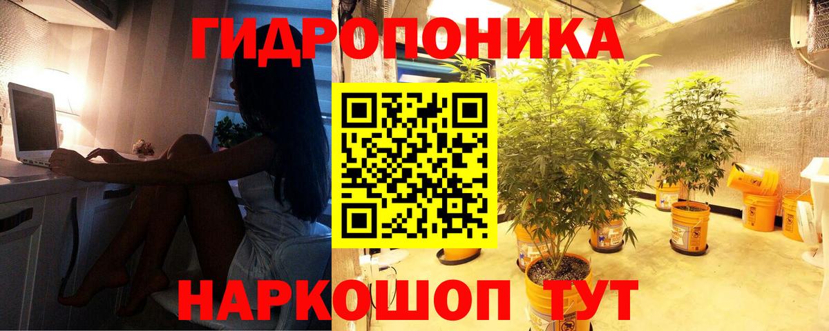 Марихуана Amnesia Прокопьевск